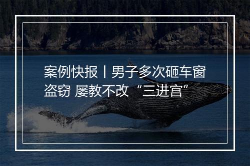 案例快报丨男子多次砸车窗盗窃 屡教不改“三进宫”