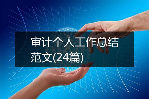 审计个人工作总结范文(24篇)