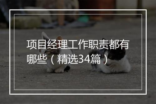 项目经理工作职责都有哪些（精选34篇）