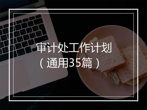 审计处工作计划（通用35篇）