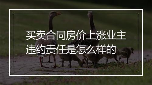 买卖合同房价上涨业主违约责任是怎么样的
