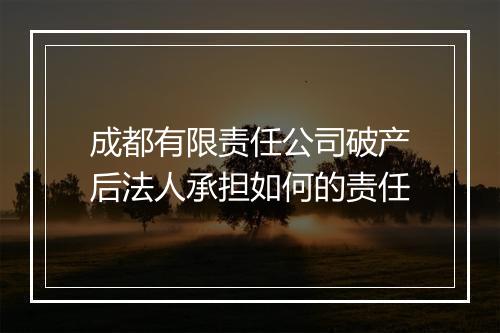 成都有限责任公司破产后法人承担如何的责任