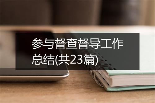 参与督查督导工作总结(共23篇)