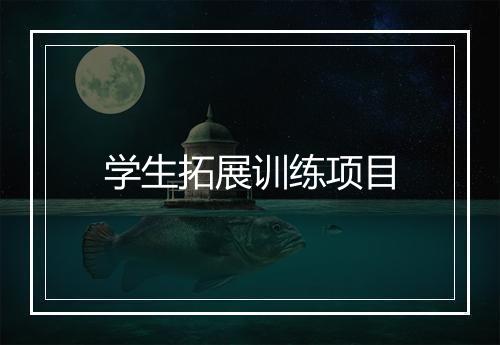 学生拓展训练项目