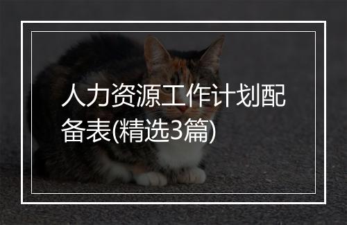 人力资源工作计划配备表(精选3篇)