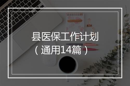 县医保工作计划（通用14篇）