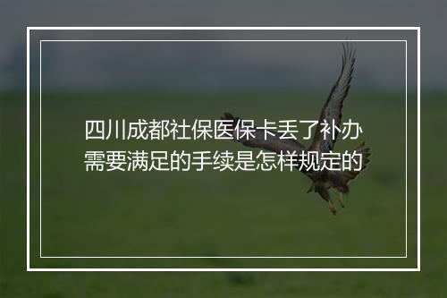 四川成都社保医保卡丢了补办需要满足的手续是怎样规定的