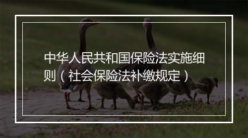 中华人民共和国保险法实施细则（社会保险法补缴规定）