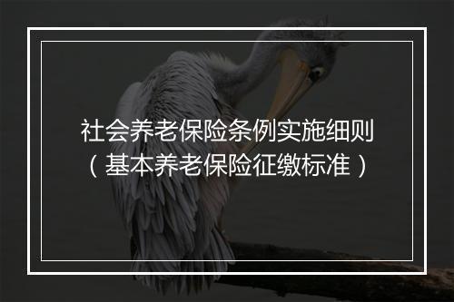 社会养老保险条例实施细则（基本养老保险征缴标准）