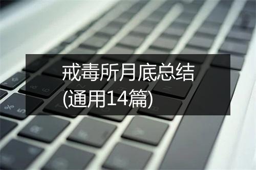 戒毒所月底总结(通用14篇)