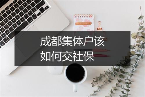 成都集体户该如何交社保