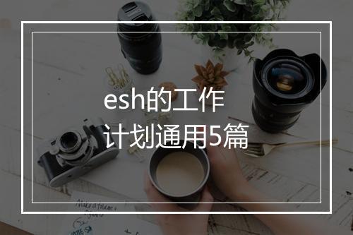 esh的工作计划通用5篇