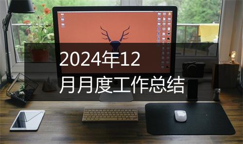 2024年12月月度工作总结