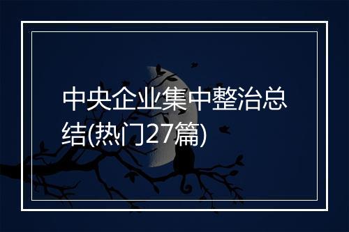 中央企业集中整治总结(热门27篇)