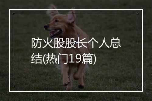 防火股股长个人总结(热门19篇)