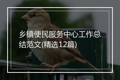 乡镇便民服务中心工作总结范文(精选12篇)