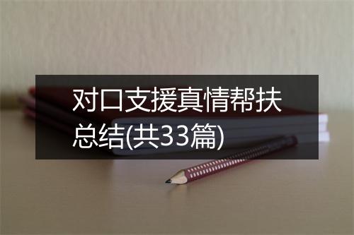 对口支援真情帮扶总结(共33篇)