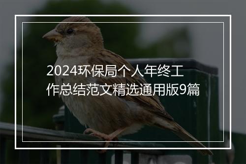 2024环保局个人年终工作总结范文精选通用版9篇
