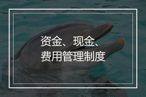 资金、现金、费用管理制度