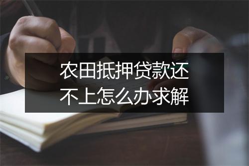 农田抵押贷款还不上怎么办求解