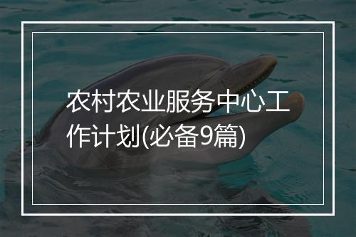 农村农业服务中心工作计划(必备9篇)