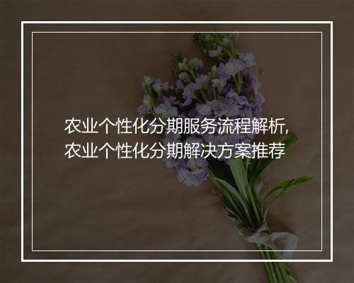 农业个性化分期服务流程解析,农业个性化分期解决方案推荐
