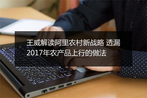 王威解读阿里农村新战略 透漏2017年农产品上行的做法