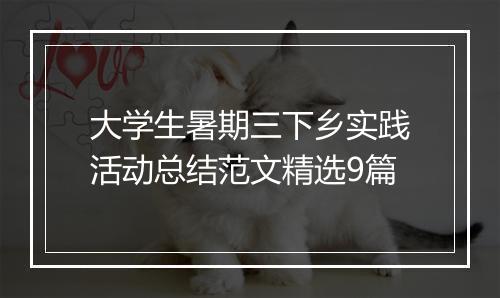 大学生暑期三下乡实践活动总结范文精选9篇