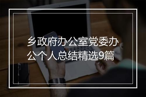 乡政府办公室党委办公个人总结精选9篇