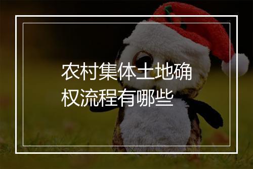 农村集体土地确权流程有哪些