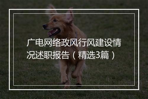 广电网络政风行风建设情况述职报告（精选3篇）