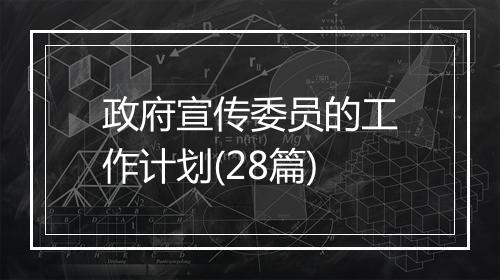 政府宣传委员的工作计划(28篇)