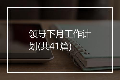 领导下月工作计划(共41篇)