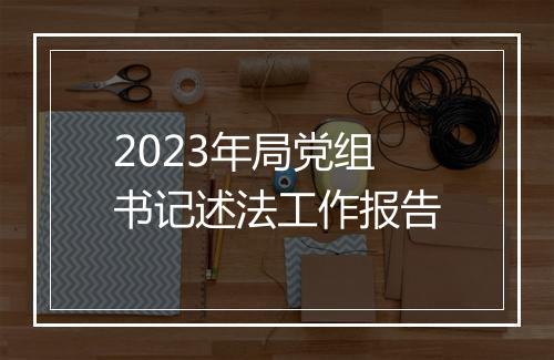 2023年局党组书记述法工作报告