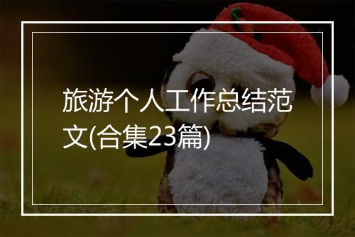旅游个人工作总结范文(合集23篇)