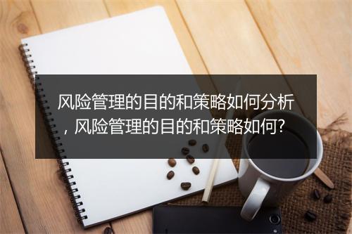 风险管理的目的和策略如何分析，风险管理的目的和策略如何?