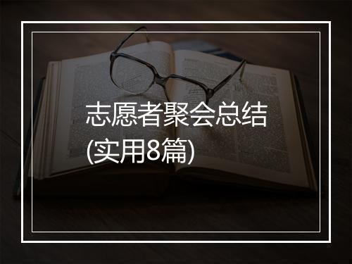 志愿者聚会总结(实用8篇)