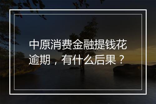 中原消费金融提钱花逾期，有什么后果？