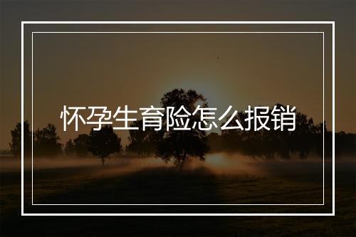 怀孕生育险怎么报销