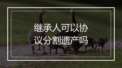 继承人可以协议分割遗产吗
