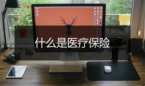 什么是医疗保险