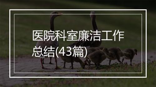 医院科室廉洁工作总结(43篇)
