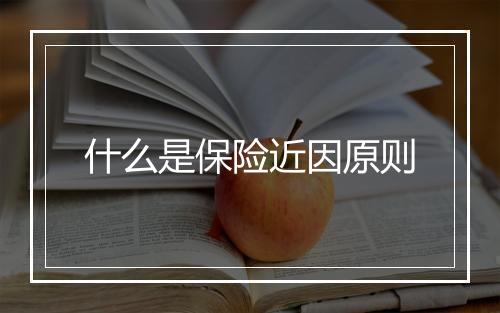 什么是保险近因原则