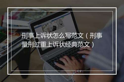 刑事上诉状怎么写范文（刑事量刑过重上诉状经典范文）