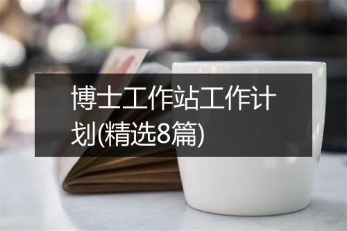 博士工作站工作计划(精选8篇)