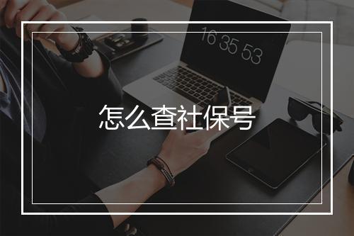 怎么查社保号