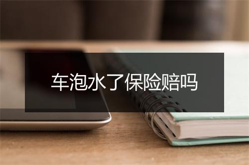 车泡水了保险赔吗