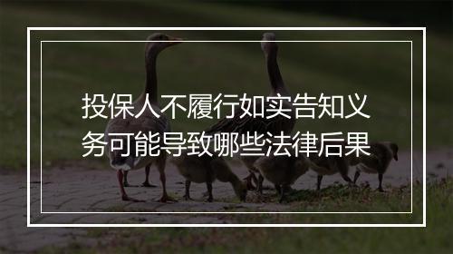 投保人不履行如实告知义务可能导致哪些法律后果
