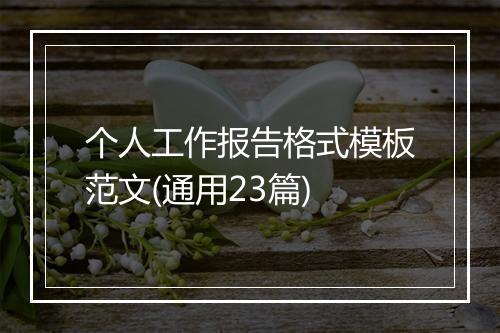 个人工作报告格式模板范文(通用23篇)