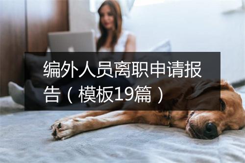 编外人员离职申请报告（模板19篇）